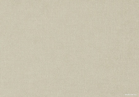 Декоративная подушка Сонум Микровелюр 30x50 (бежевый)