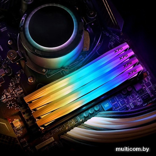 Оперативная память ADATA XPG Spectrix D60G 16ГБ DDR4 3600 МГц AX4U360016G18I-ST60
