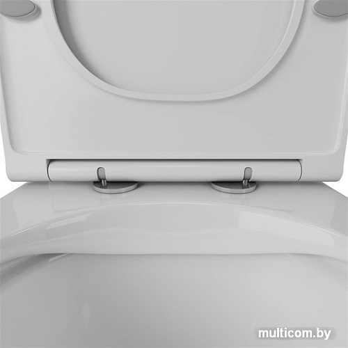 Унитаз OWL 1975 Vind Cirkel-G с сиденьем DP микролифт OWLT190303