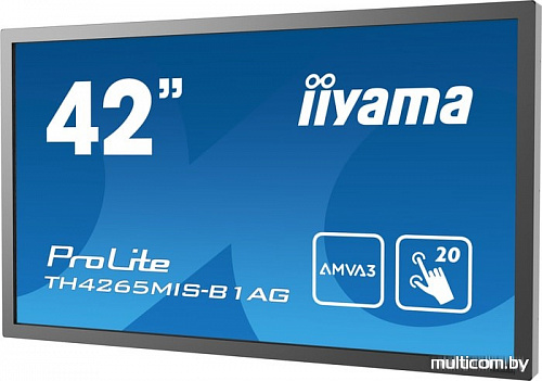 Информационная панель Iiyama ProLite TH4265MIS-B1AG