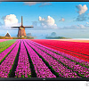 Телевизор LG 55UJ620V