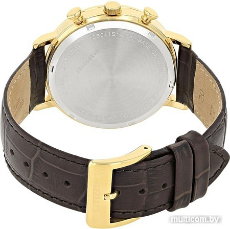 Наручные часы CITIZEN AN3612-09P