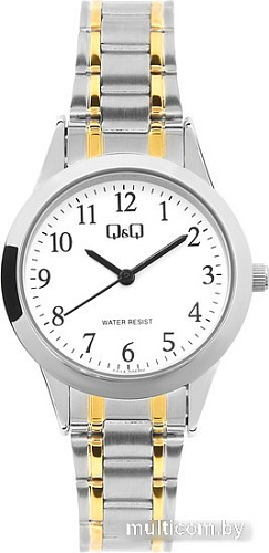 Наручные часы Q&Q Standard C01AJ005