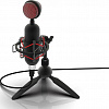 Микрофон Ritmix RDM-230 USB Eloquence