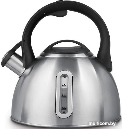 Чайник со свистком Polaris Alicante-3LN