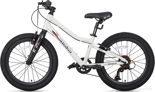 Детский велосипед Maxiscoo 3bike 20 L 2025 MSC-M3-2003 (серый, разобранный)