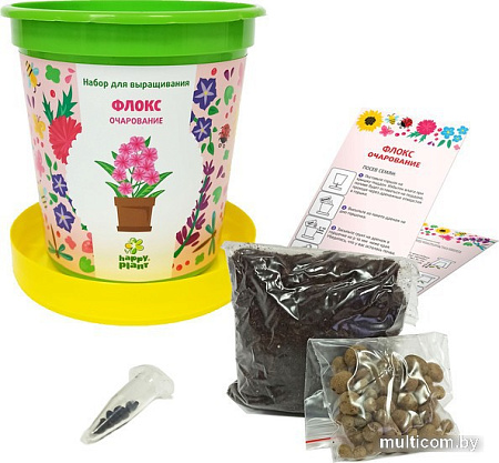 Набор для опытов Happy plant Флокс очарование hpn-29