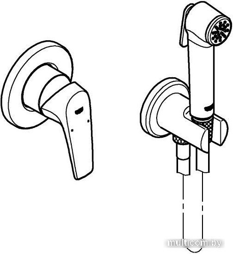 Гигиенический душ Grohe Bauflow 29328000