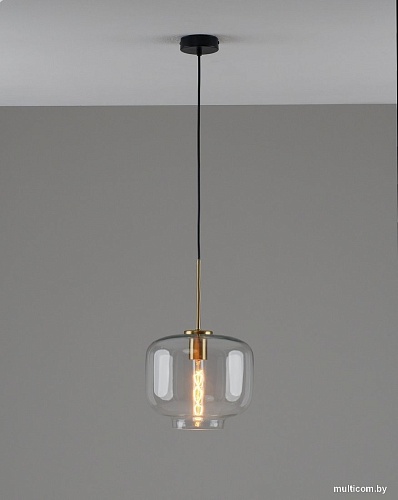 Подвесная люстра Moderli Teen V11531-1P