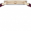 Наручные часы Pierre Cardin Belleville Monogram CBV.1504