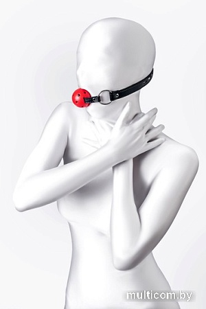 Кляп классический TOYFA 310303