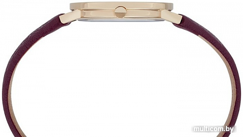 Наручные часы Pierre Cardin Belleville Monogram CBV.1504