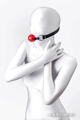 Кляп классический TOYFA 310303