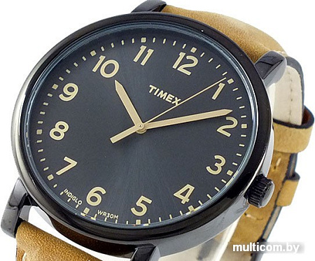 Наручные часы Timex T2N677