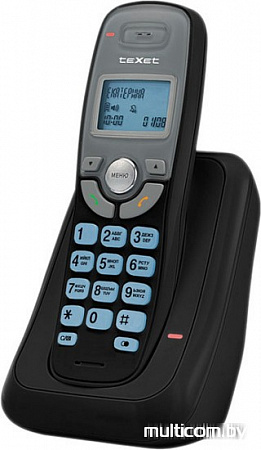 Радиотелефон TeXet TX-D6905A