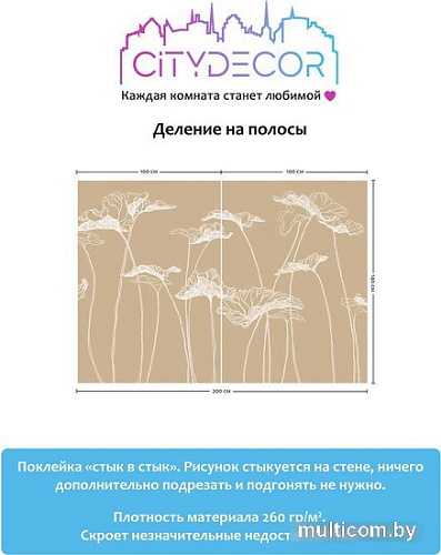 Виниловые обои Citydecor Perfect Lines 3 200x140
