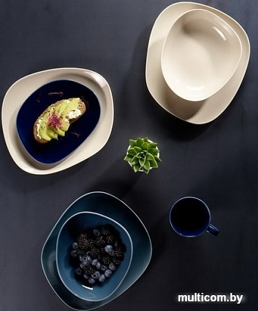 Столовый сервиз Villeroy & Boch Organic Deep Blue 19-5290-7271