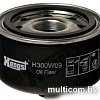 Масляный фильтр Hengst filter H300W09