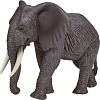 Фигурка Konik Африканский слон Самка AMW2090