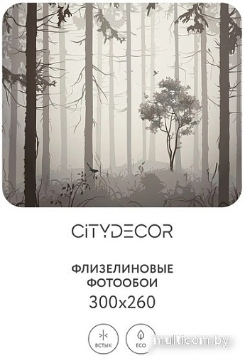 Фотообои Citydecor Dark Side 35 300x260