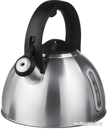 Чайник со свистком Polaris Alicante-3LN