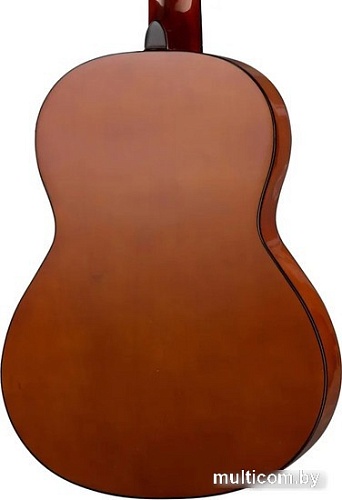 Акустическая гитара Naranda CG120-1/2