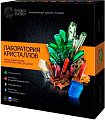 Набор для опытов Трюки науки Лаборатория кристаллов Z009