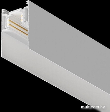 Шинопровод Maytoni Technical Gravity TRX010-413W