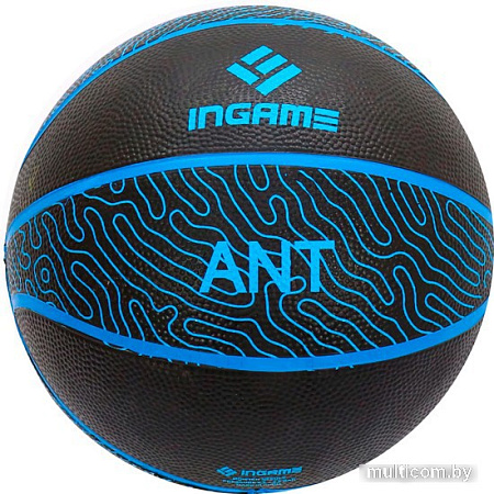 Баскетбольный мяч Ingame Ant (7 размер, черный/синий)