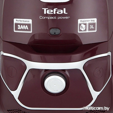 Пылесос Tefal TW3999EA