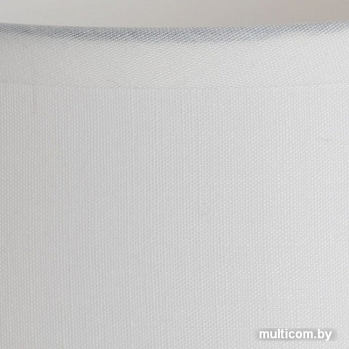 Лампа Arte Lamp Gustav A4420LT-1WH