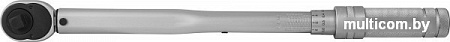 Jonnesway 3/8" 5-25 Нм T04060A