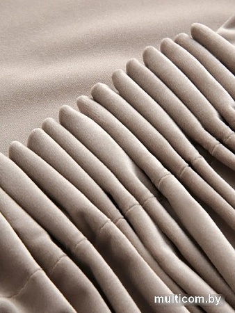 Комплект штор Soft Lines Бархат 9138-D2 1.8x2.7 м (кофейный, 2 шт)