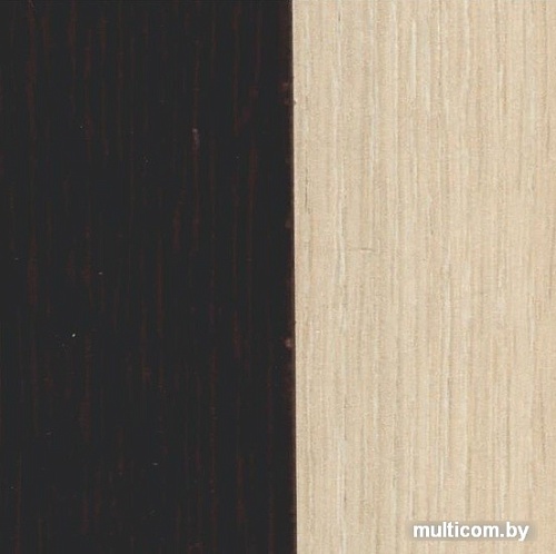 Кухонный стол Мебель-класс Леон-2 (венге-дуб шамони)