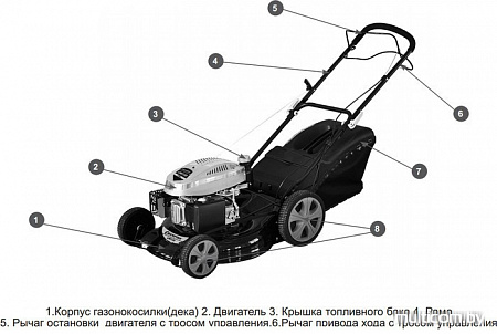 Колёсная газонокосилка Champion LM4630