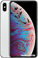Смартфон Apple iPhone XS Max 512GB (серебристый)
