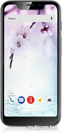 Смартфон Fly View Max (графит)