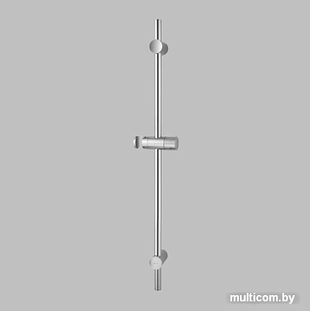 Душевая штанга AM.PM Gem F0390000