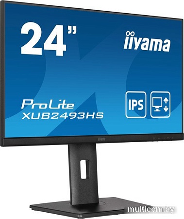 Монитор Iiyama ProLite XUB2493HS-B5