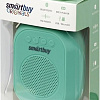Беспроводная колонка SmartBuy Bloom SBS-160