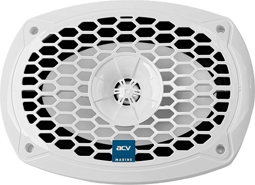 Коаксиальная АС ACV M69W