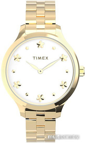 Наручные часы Timex Peyton TW2V23300