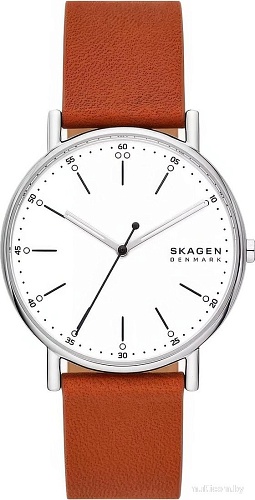 Наручные часы Skagen SKW6903