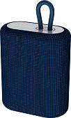 Беспроводная колонка Canyon CNE-CBTSP4BL