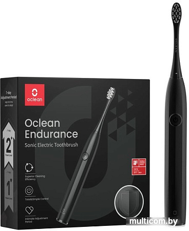 Электрическая зубная щетка Oclean Endurance Electric Toothbrush (черный)