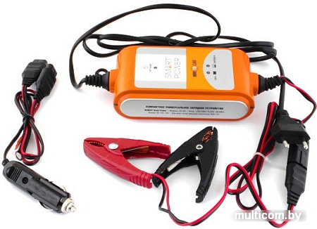 Зарядное устройство Беркут SP-2N