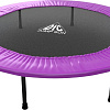 Батут DFC Jump Sun 55INCH-JS-P