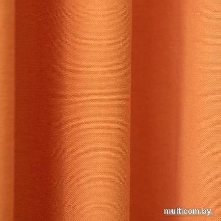 Комплект штор Pasionaria Билли 340x230 (2 шт, оранжевый)