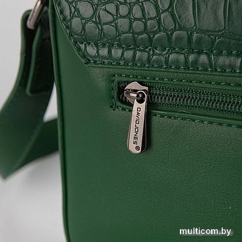 Женская сумка David Jones 823-CM6733-DGN (зеленый)