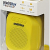 Беспроводная колонка SmartBuy Bloom SBS-170